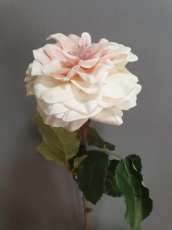 Bloem Roos wit/roze