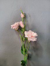 Bloem Lisianthus roze