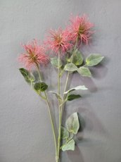 Bloem Xanthium Mauve