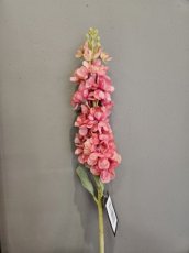 Bloem Delphinium roze