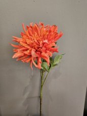 Bloem Dahlia Donker Oranje Bloem Dahlia donker oranje