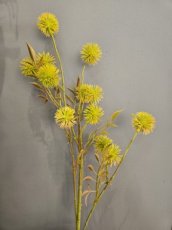 Bloem Little Dandelion Geel Bloem Little Dandelion geel