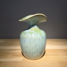 Vaas Mario Vaas Mario