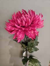 Bloem Chrysant roze