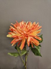 Bloem Dahlia Oranje/Geel Bloem Dahlia oranje/geel