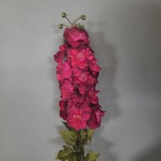 Bloem Delphinium diep roze