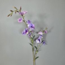 Bloem Tofu Lichtpaars Bloem Tofu lichtpaars