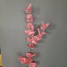 Bloemtak Eucalyptus Zalm Bloemtak Eucalyptus zalm