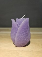 Candle Tulip Lila